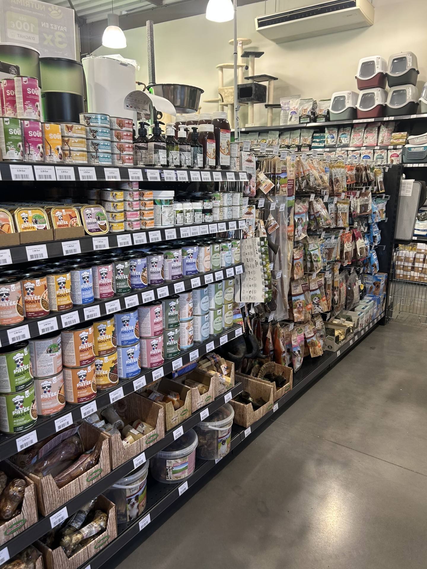 Le mur de harnais, colliers et laisses chez Nutrima Chauffailles